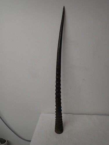 Originales antikes horn von - originales,
