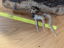 Abwurfstange abnormal