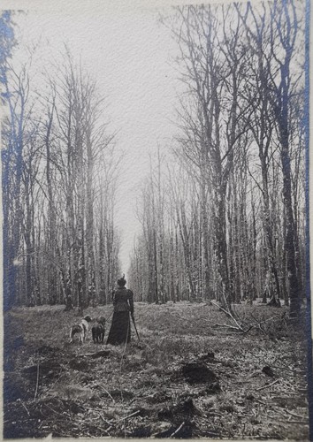 Jägerin dame mit - dame, und