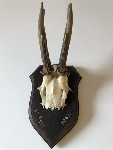 Antike gams jagdtrophäe 1940 - antike,