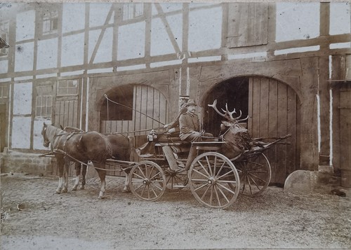 Großes foto jagdwagen mit - großes,