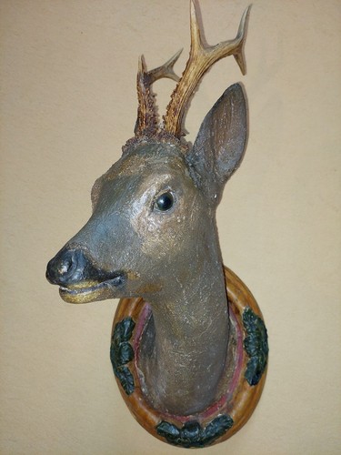 Kapitaler rehbock farbig - kapitaler, rehbock,