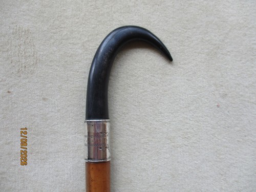 Spazierstock gehstock - spazierstock,
