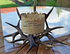 Antikes Jagdandenken Geweih