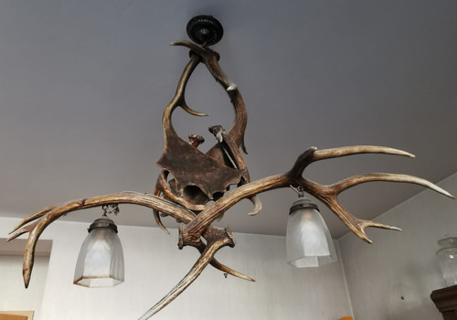 Geweihlampe damwild - geweihlampe,