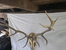 Ein ungerader 14 Ender